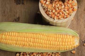 Corn and dried seeds