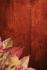 Naklejka na ściany i meble Autumn leaves pattern