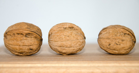 Walnut