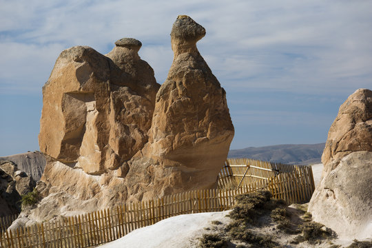 Animal Shaped Rocks In Fantasyland.