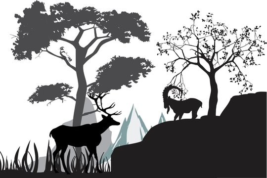 Vector silhouettes of wildlife landscape, deer, trees silhouette