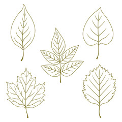 Collection of line green leave icons. Vector hand drawn illustration.
