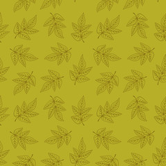 Seamless pattern with elegant line leaves. Vector illustration.