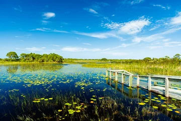 Tuinposter Natuur Natuurreservaat Florida