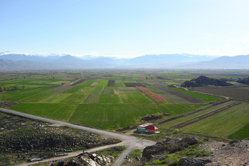 Cultivated field at spring