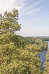 Summery forests and lakes in Finland