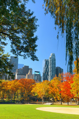 Naklejka premium Central Park Autumn