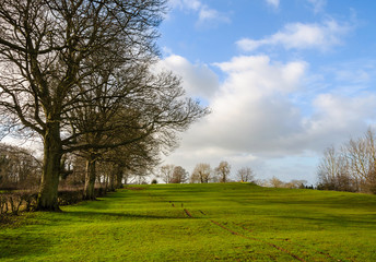 Obraz na płótnie Canvas Rural landscape in winter in England