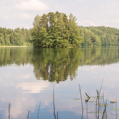 Small island and the summer lake