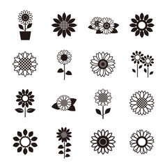 Naklejka premium Sunflower icon set