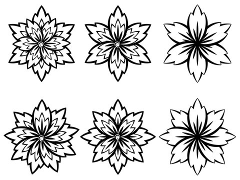 Simple Black and White Flowers