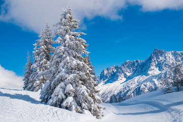 Mont Blanc winter