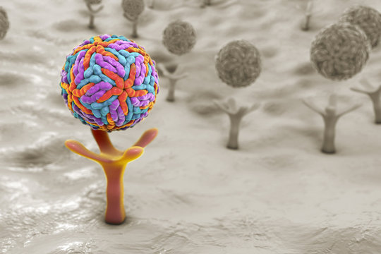 Zika virus attaching to AXL receptor on the surface of a neural stem cell, 3D illustration. Zika virus causes Zika fever leading to microcephaly in newborns