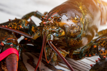 Raw lobster's head. Mouth and eyes of lobster. Seafood week in local restaurant. Fresh catch from the ocean.