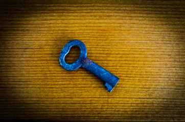 Small antique skeleton key with vignette