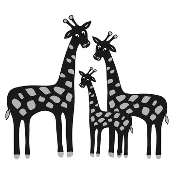 Happy family giraffe. Cute giraffes family illustration. Jungle animals with tropical plants print. Happy family concept - father, mother, baby. 