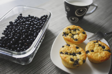 Homemade Blueberry Muffins with fresh blueberry, milk, blueberry