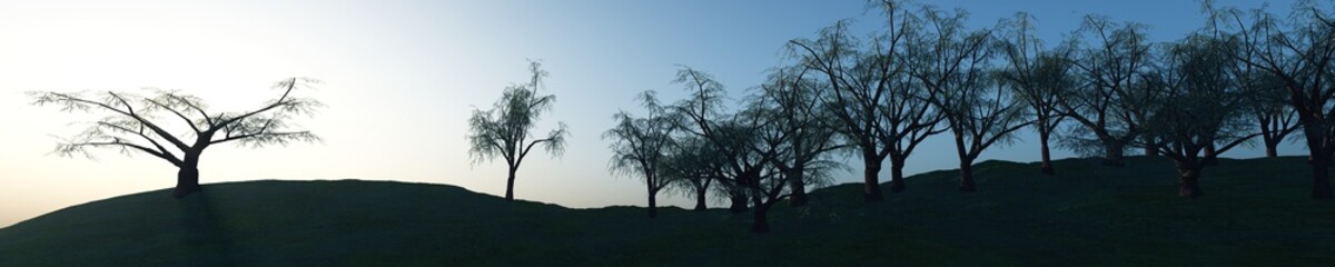 Fototapeta na wymiar Trees in a row on a hill, Sunset in the trees 