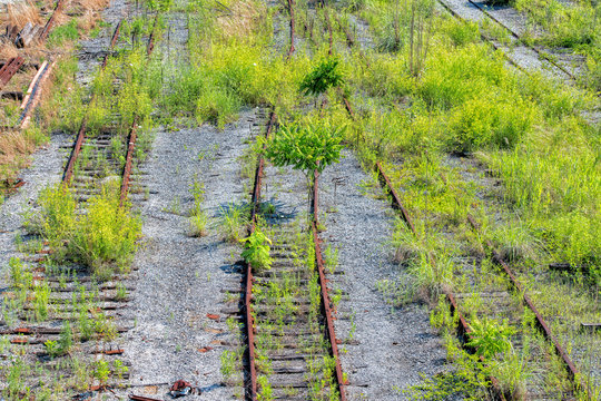 Abandoned Rail Track Close Up Detail View