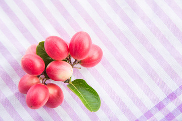 Carissa carandas Linn,Karanda, Carunda, Christ ' s Thom