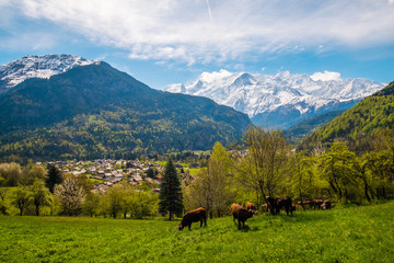 Chamonix valley