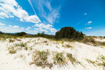 sand dune in La Cinta beach