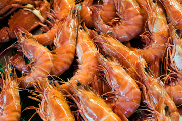 Cooked shrimp at the Trouville fish market, France
