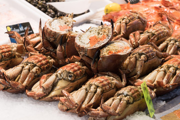 Crabs and Halved Crabs in display
