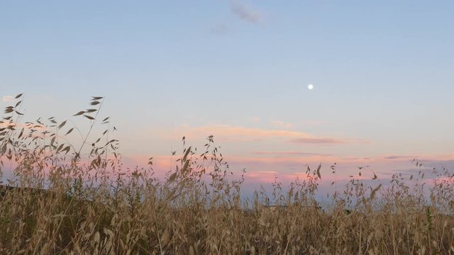 Sunset at Ascot Hills Park with moon at Los Angeles