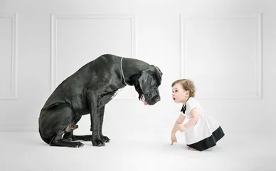 Keuken spatwand met foto Klein meisje poseren tegen een grote hond © konradbak