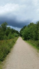 Fototapeta na wymiar Sonniger Naturweg mit schwarzer Wolke