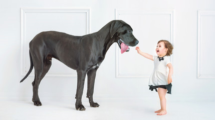 Cute little girl playing with a huge dog