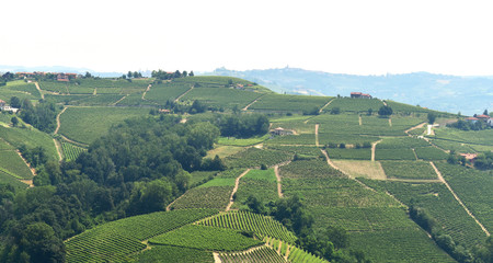 Fototapeta na wymiar The Langhe landscape, Italy.
