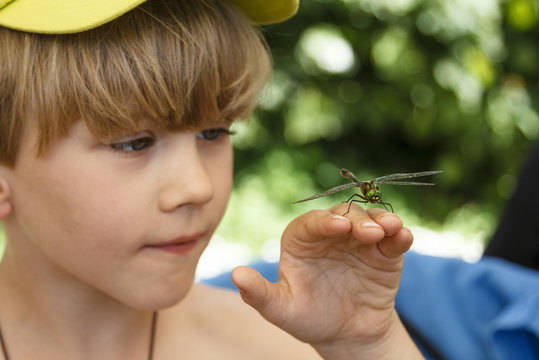 Kid looking at the dragonfly on his hand