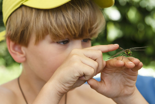 The curious boy touching the dragonfly on his hand