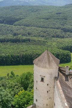Vertical view from old castle surrounded by woods.