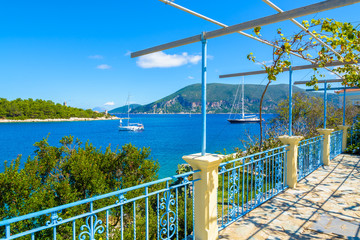 Grape vine growing on coast of Kefalonia island near Fiskardo village, Greece