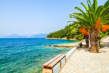 Palm tree on small beach and azure sea water in Sami village, Kefalonia island, Greece