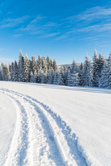 Fototapeta na wymiar Winter road on sunny day in Beskid Sadecki Mountains, Poland