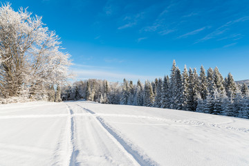 Fototapeta premium Ski track in winter landscape of Beskid Sadecki Mountains, Poland