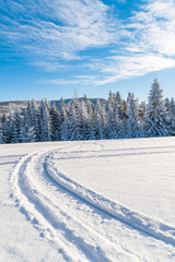 Fototapeta na wymiar Winter road in Beskid Sadecki Mountains on sunny day, Poland