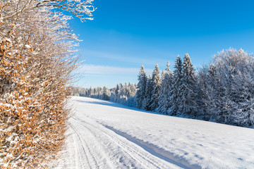 Winter road on sunny day in Beskid Sadecki Mountains, Poland