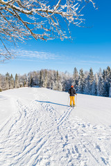 Skier on track in winter landscape of Beskid Sadecki Mountains on sunny day, Poland