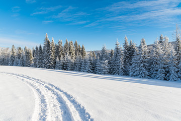 Winter road on sunny day in Beskid Sadecki Mountains, Poland