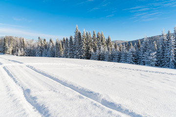 Fototapeta na wymiar Ski track in winter landscape of Beskid Sadecki Mountains, Poland