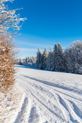 Winter road and trees covered with fresh snow in Beskid Sadecki Mountains, Poland