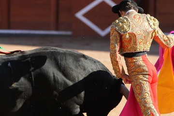 Torero y toro bravo