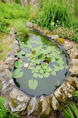 Beautiful pond in cottage style garden in Devon, England
