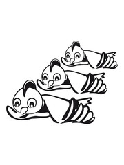 Bird fly formation sweet