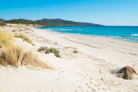 Sardinia beach